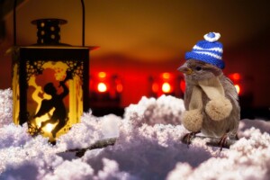 Das Weihnachtsabenteuer der Tierkinder im Wald | Copyright Susanne Jutzeler, suju-foto | Cantus Theaterverlag