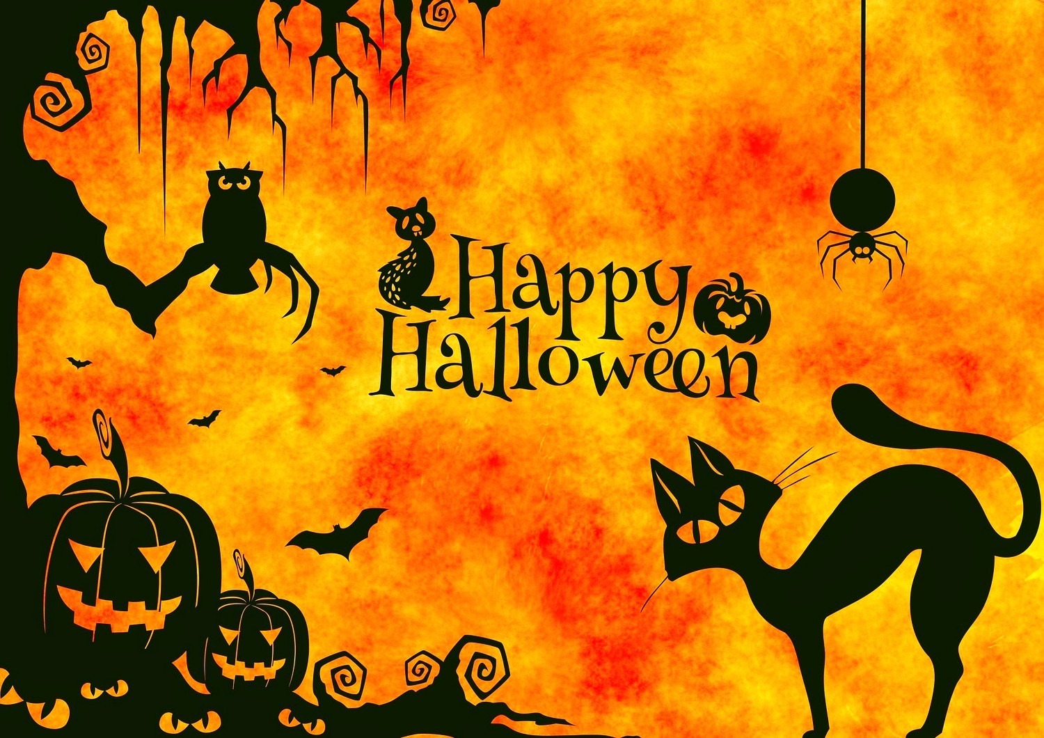 Hello Halloween | Cantus Theaterverla