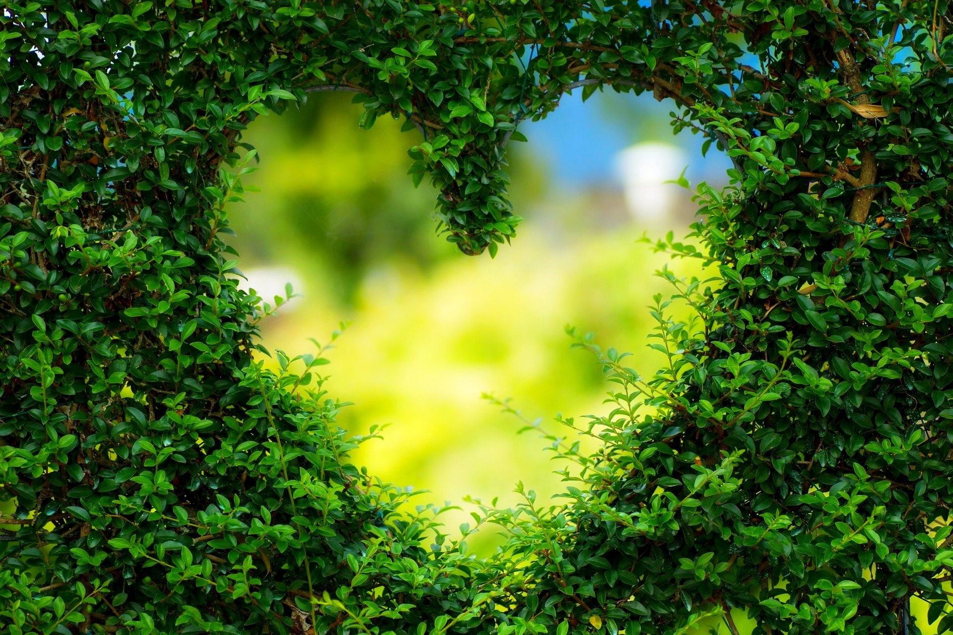 Der geheime Garten CANTUS Verlag