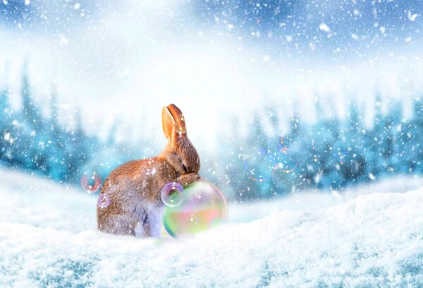 Weihnachtsferien 2022 | ©Bianca Van Dijk/Pixabay | Cantus Theaterverlag