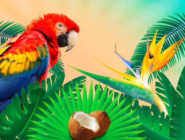 Cantus Sommerferien 2023 - News (©Stefan Schweihofer/Pixabay)